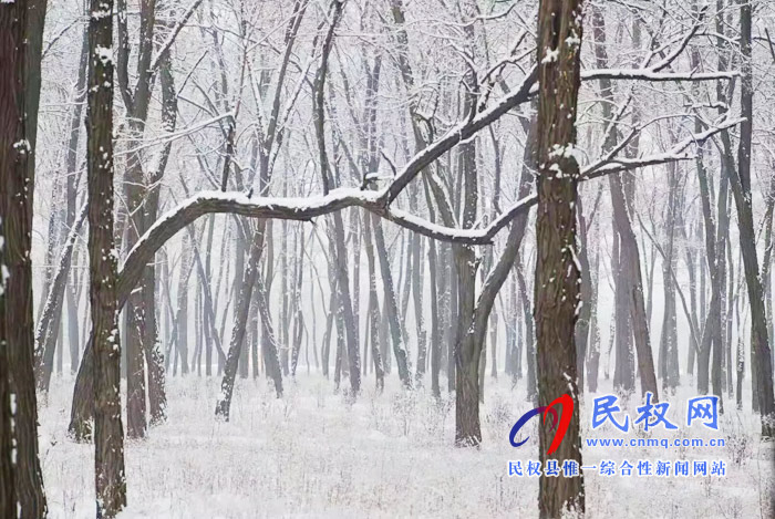 图说|河南民权：2020年的第一场雪，太美了吧!