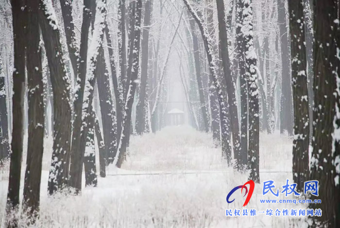 图说|河南民权：2020年的第一场雪，太美了吧!