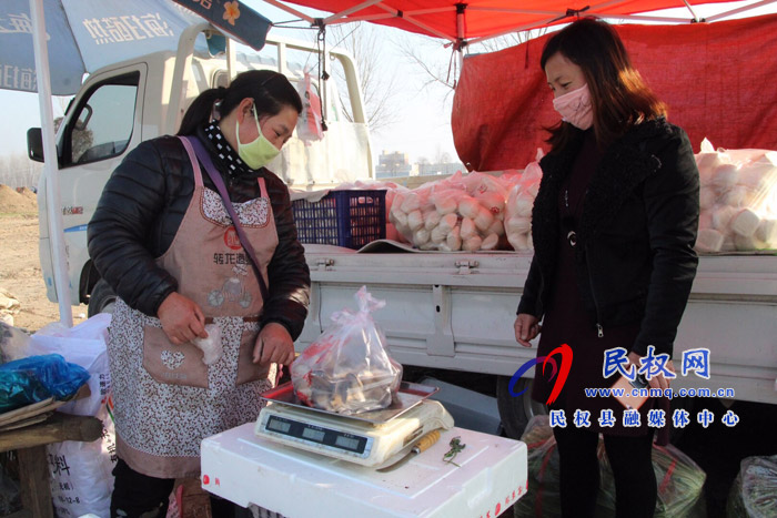 民权县花园乡：蔬菜供应到村头  群众吃菜不发愁