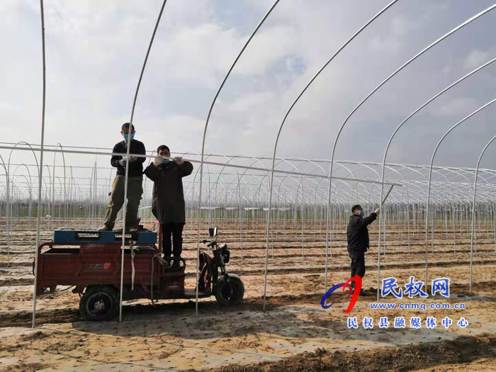 褚庙乡多举措疫情防控与农业生产双促进 褚庙乡多举措疫情防控与农业生产双促进