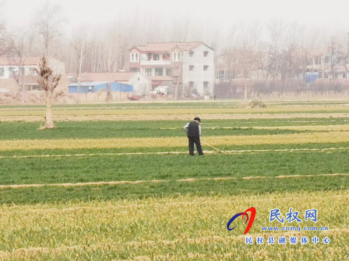 白云寺镇:疫情防控和春耕生产两手抓、两不误 白云寺镇:疫情防控和春耕生产两手抓、两不误
