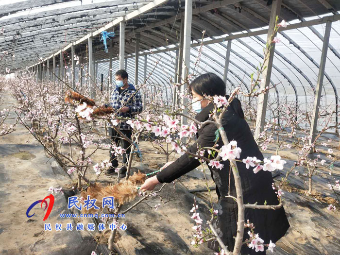 双塔镇:一手抓疫情防控 一手抓农耕生产 双塔镇:一手抓疫情防控 一手抓农耕生产