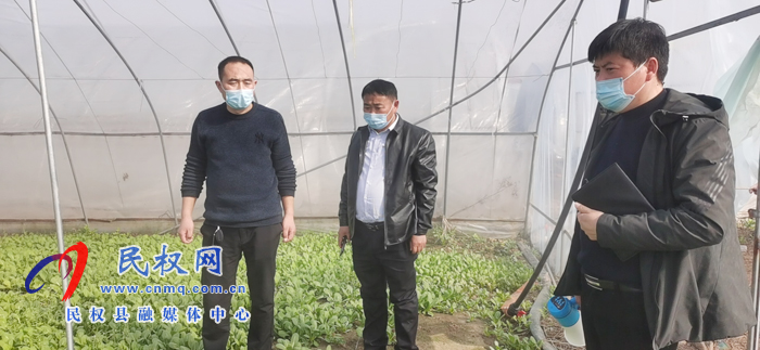 林七乡:乡干部当起了蔬菜经纪人 林七乡:乡干部当起了蔬菜经纪人
