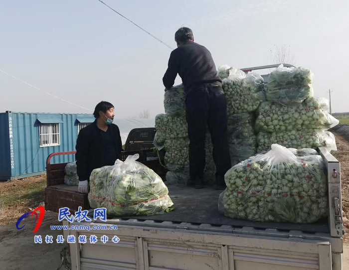 林七乡:乡干部当起了蔬菜经纪人 林七乡:乡干部当起了蔬菜经纪人