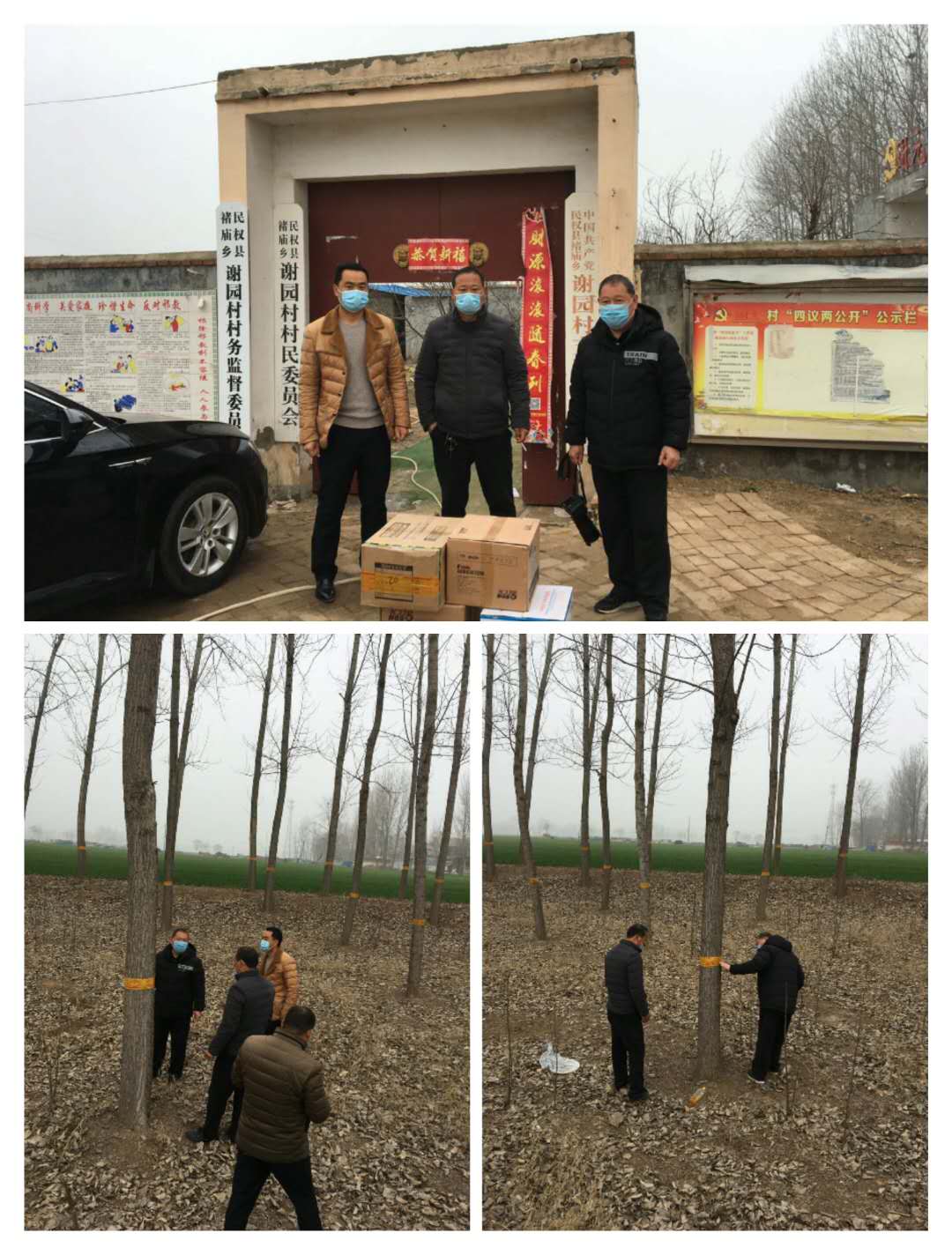 县林业发展服务中心防疫、防治两不误 县林业发展服务中心防疫、防治两不误