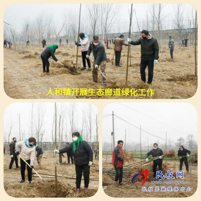 人和镇开展连霍高速生态廊道绿化带建设工作 人和镇开展连霍高速生态廊道绿化带建设工作