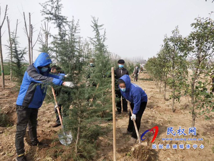 双塔镇:疫情防控不松劲 植树造林不误时 双塔镇:疫情防控不松劲 植树造林不误时