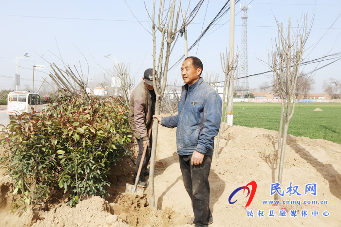 白云寺镇：植树造林处处添新绿