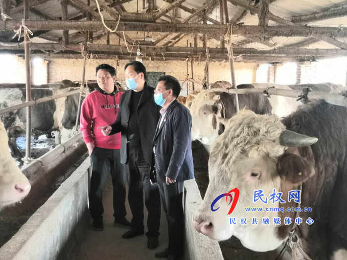 县畜牧局在牛场现场办公 县畜牧局在牛场现场办公