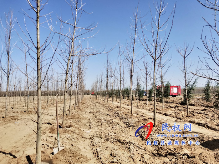 市人大常委会在民权国家森林公园举办民主法治生态建设主题植树活动 市人大常委会在民权国家森林公园举办民主法治生态建设主题植树活动