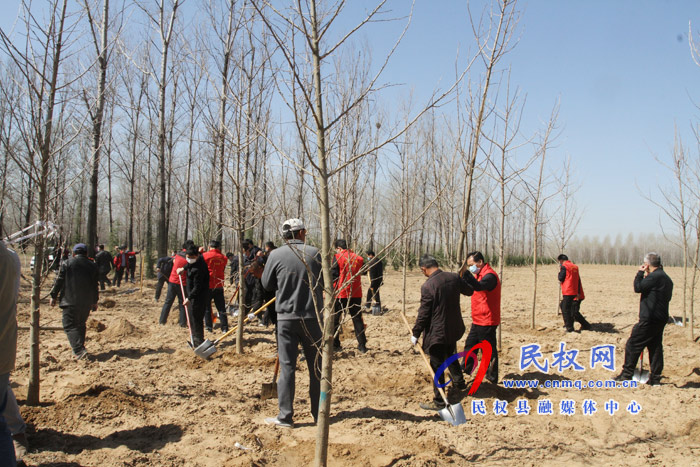 市人大常委会在民权国家森林公园举办民主法治生态建设主题植树活动 市人大常委会在民权国家森林公园举办民主法治生态建设主题植树活动