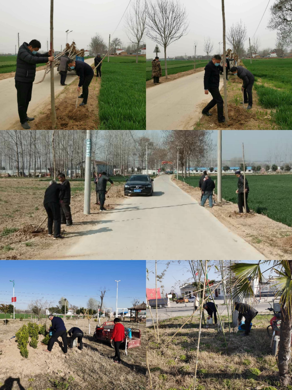 胡集乡:推进国土绿化 建设美丽家园 不负春光植树忙 胡集乡:推进国土绿化 建设美丽家园 不负春光植树忙