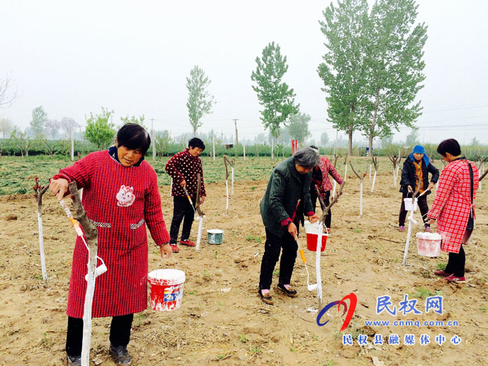 花园乡加强树木管护确保成活率 花园乡加强树木管护确保成活率