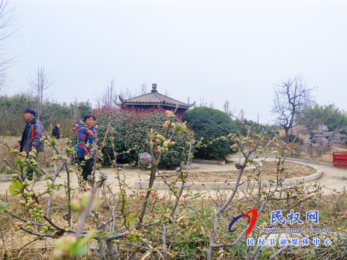 王桥镇:忙趁春光建游园 王桥镇:忙趁春光建游园