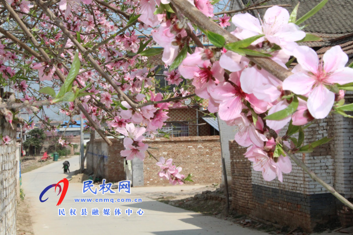 褚庙乡孙坡楼村:民风环境美 农民大变样 褚庙乡孙坡楼村:民风环境美 农民大变样