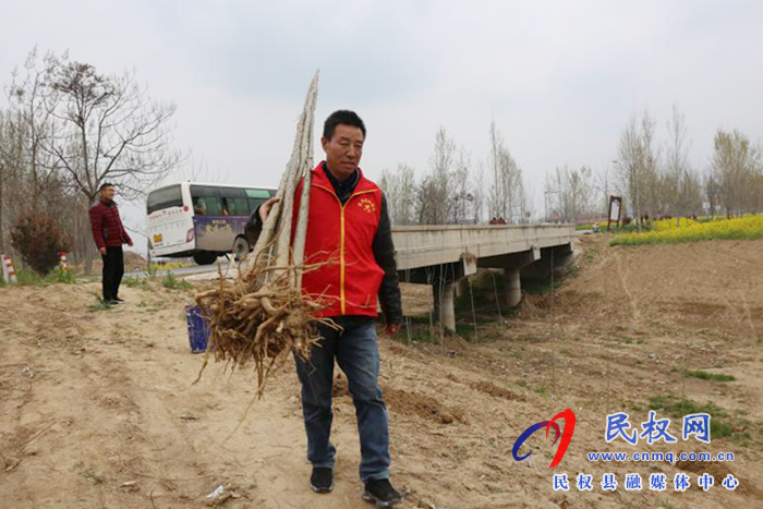白云寺镇财政所开展义务植树活动 白云寺镇财政所开展义务植树活动