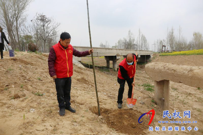 白云寺镇财政所开展义务植树活动 白云寺镇财政所开展义务植树活动
