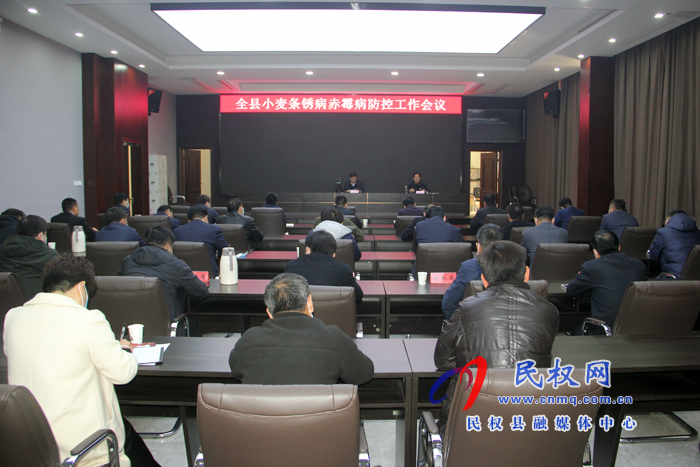 我县组织收听看全省小麦条锈病赤霉病防治工作电视电话会议 我县组织收听看全省小麦条锈病赤霉病防治工作电视电话会议