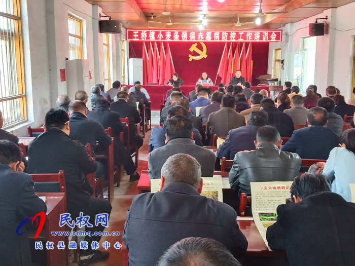 王桥镇召开小麦条锈病赤霉病防控工作培训会 王桥镇召开小麦条锈病赤霉病防控工作培训会