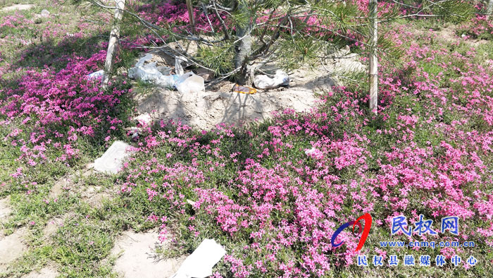 【不文明行为曝光台】市民观景不文明 城市环境“小受伤” 【不文明行为曝光台】市民观景不文明 城市环境“小受伤”