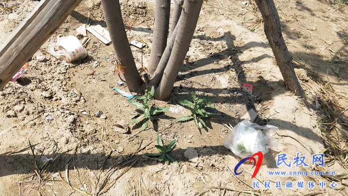 【不文明行为曝光台】市民观景不文明 城市环境“小受伤” 【不文明行为曝光台】市民观景不文明 城市环境“小受伤”