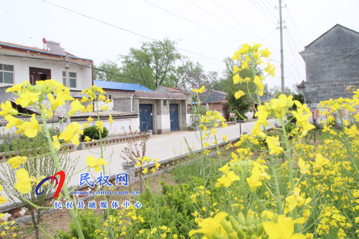 褚庙乡改善人居环境建设美丽乡村