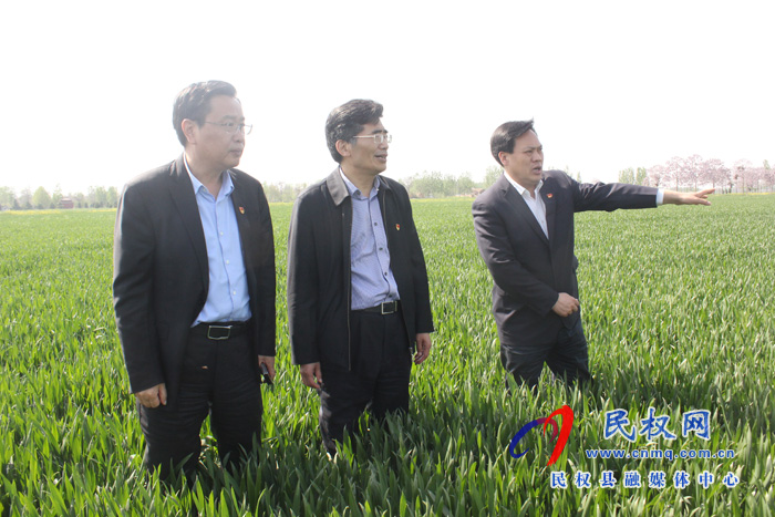 市委书记王战营到我县调研粮食生产工作时强调:扛稳粮食生产政治责任 确保夺取夏粮丰收 市委书记王战营到我县调研粮食生产工作时强调:扛稳粮食生产政治责任 确保夺取夏粮丰收