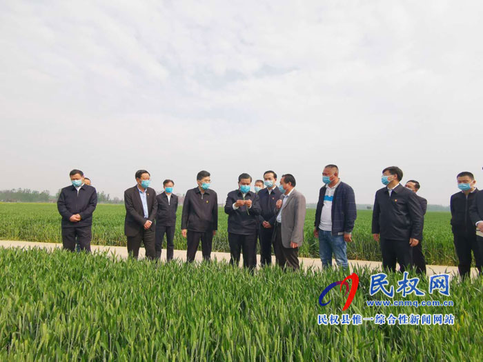 副省长武国定莅调研夏粮生产工作时强调:打好小麦病虫害防治硬仗 确保夏粮丰收粮食安全