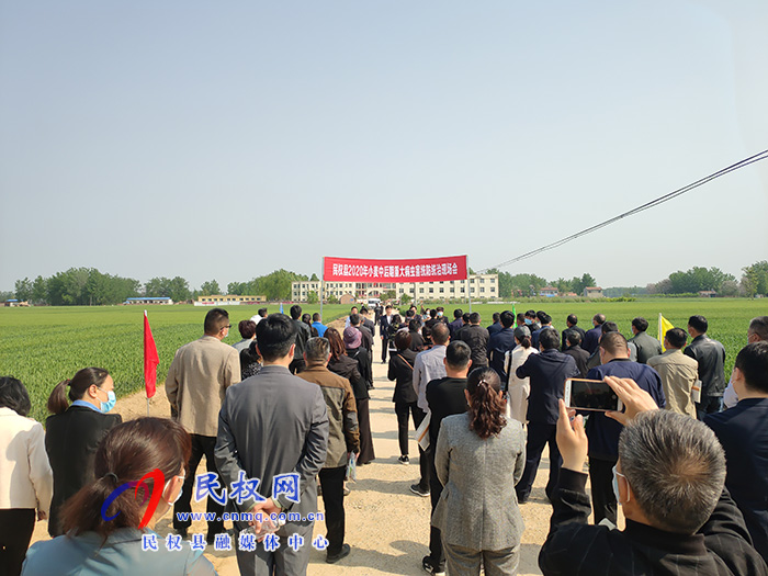 全县2020年小麦中后期重大病虫害统防统治现场会召开 全县2020年小麦中后期重大病虫害统防统治现场会召开