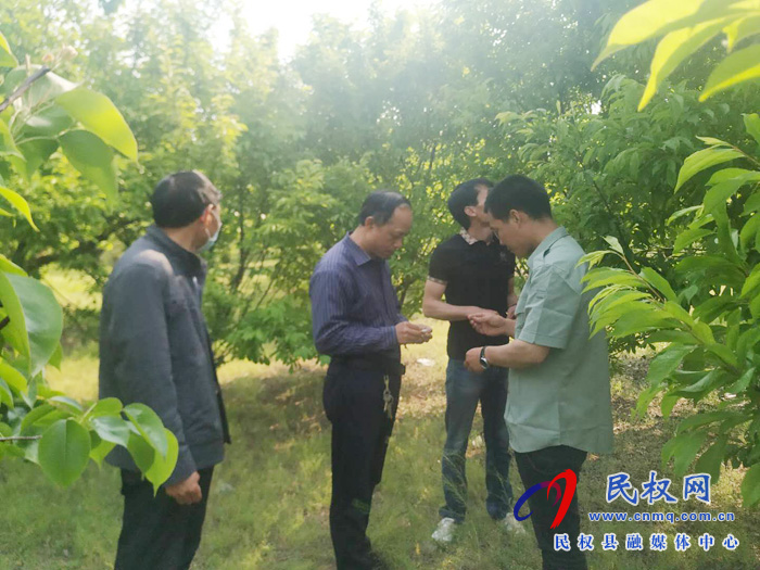 县园艺站技术人员下乡开展技术服务指导果树春夏管理 县园艺站技术人员下乡开展技术服务指导果树春夏管理