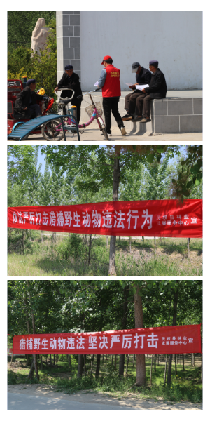 县林业发展服务中心积极开展野生动物保护宣传活动 县林业发展服务中心积极开展野生动物保护宣传活动