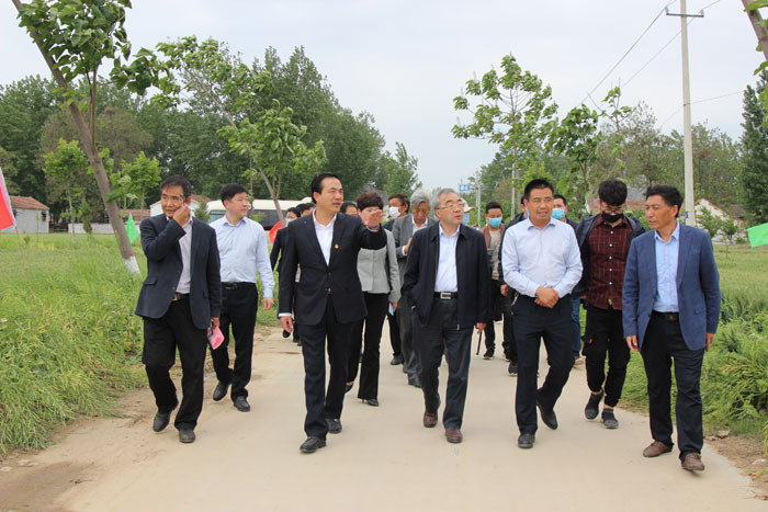 河南省2020年国审小麦新品种郑麦1860现场观摩会在民权县召开 河南省2020年国审小麦新品种郑麦1860现场观摩会在民权县召开