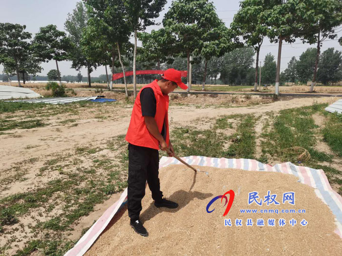 白云寺镇:党员志愿者三夏帮扶情暖群众 白云寺镇:党员志愿者三夏帮扶情暖群众