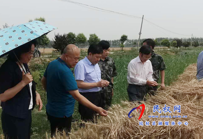 省国调队到我县调研夏粮生产等工作开展情况 省国调队到我县调研夏粮生产等工作开展情况
