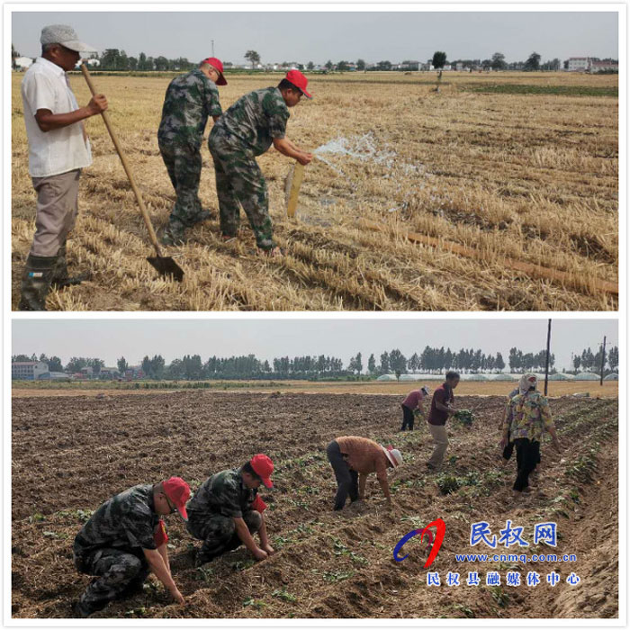 伯党乡：“小红帽”活跃在田间 抗旱抢种显身手