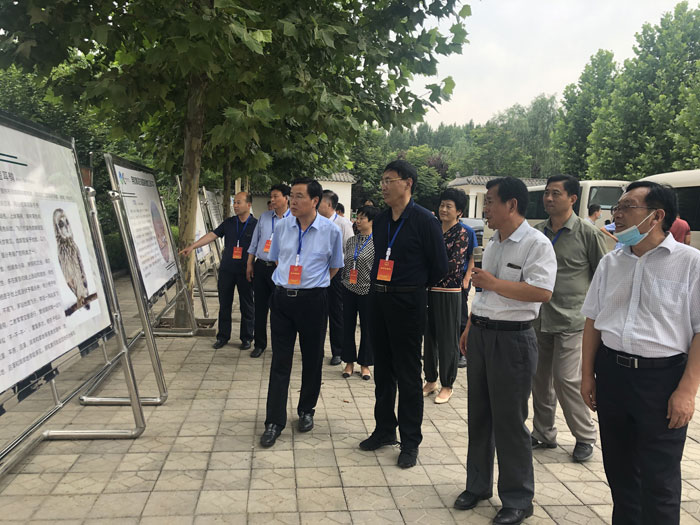 市人大执法检查组到我县开展野生动物保护 “一法一决定”执法检查 市人大执法检查组到我县开展野生动物保护 “一法一决定”执法检查