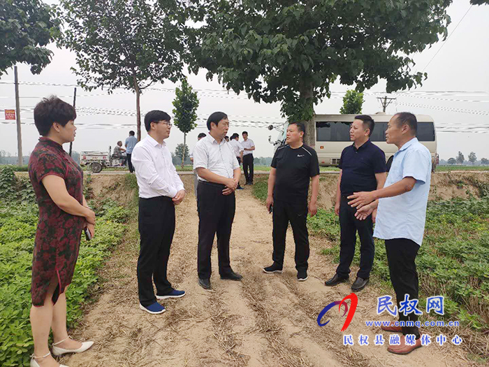 省农业农村厅党组成员、总农艺师王俊忠到我县调研花生生产情况