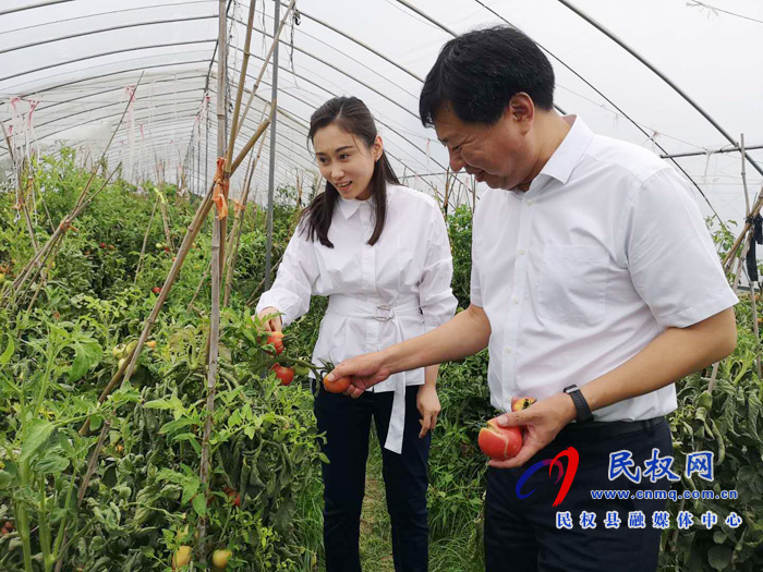 副县长朱琳到老颜集乡调研指导扶贫工作 副县长朱琳到老颜集乡调研指导扶贫工作