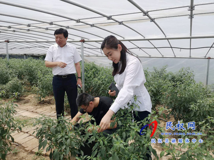 副县长朱琳到老颜集乡调研指导扶贫工作 副县长朱琳到老颜集乡调研指导扶贫工作