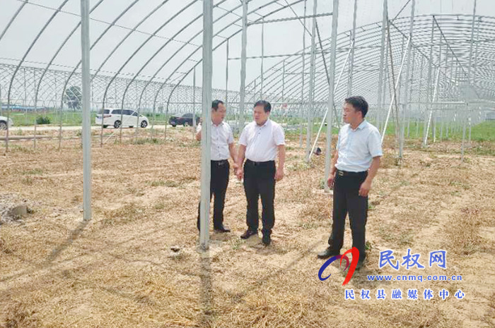 县委常委、政法委书记、副县长孟祥亮到双塔镇实地查看大棚种植项目建设 县委常委、政法委书记、副县长孟祥亮到双塔镇实地查看大棚种植项目建设