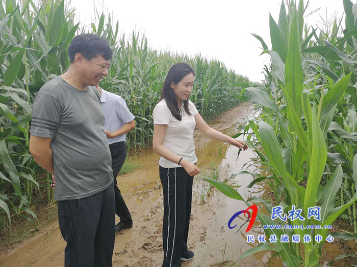 副县长朱琳到老颜集乡调研指导防汛抗灾工作 副县长朱琳到老颜集乡调研指导防汛抗灾工作