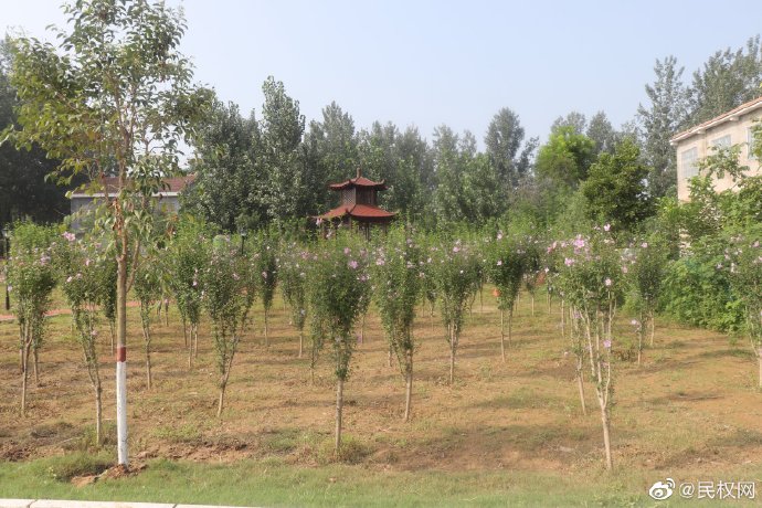 北关镇:建成首个乡镇文化体育公园 北关镇:建成首个乡镇文化体育公园