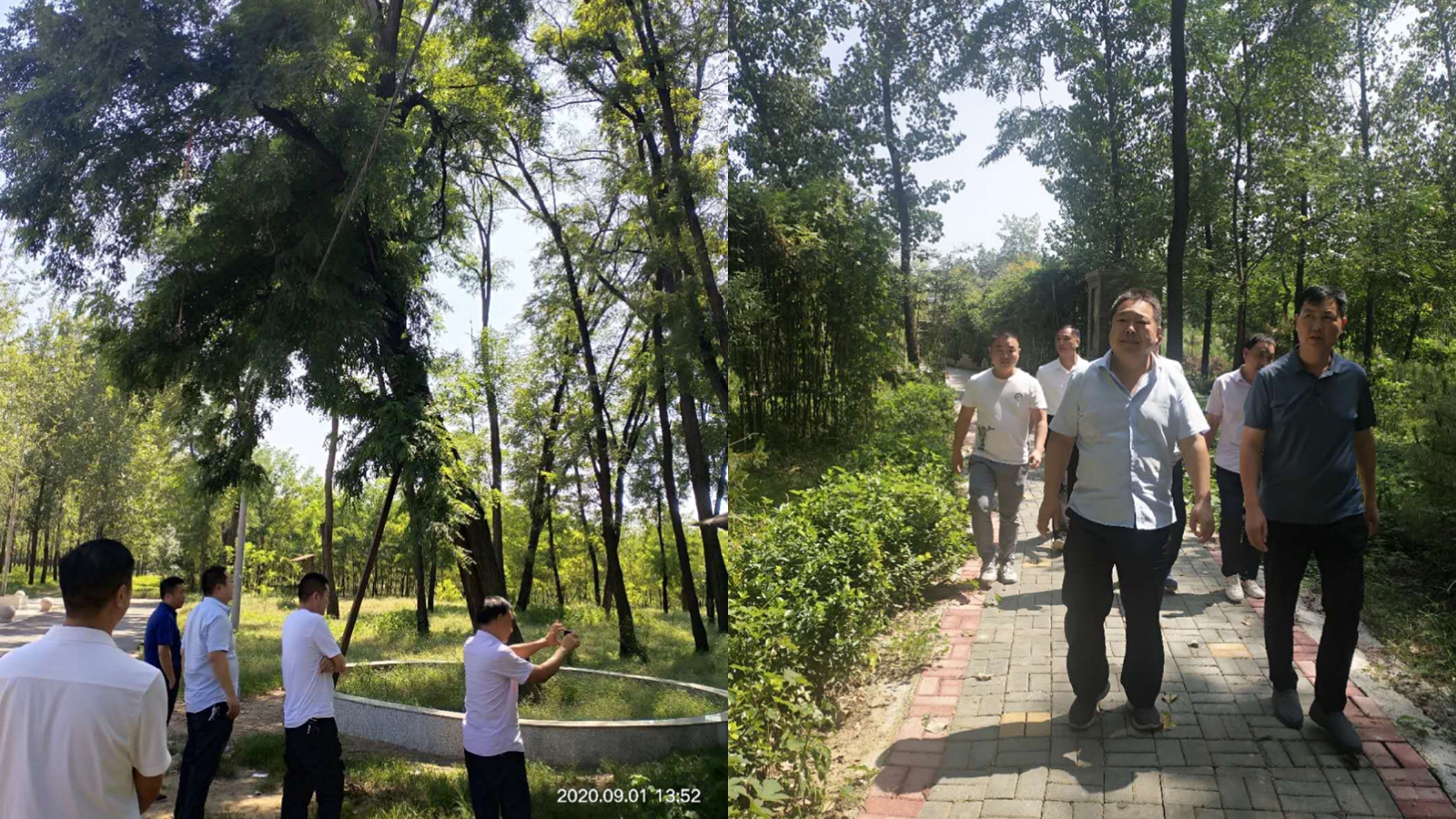 临颍县林业技术推广总站站长李广宇到我县考察学习省级森林城市创建工作 临颍县林业技术推广总站站长李广宇到我县考察学习省级森林城市创建工作