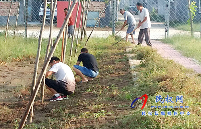王庄寨镇:持续加强美丽乡村后期管护工作 王庄寨镇:持续加强美丽乡村后期管护工作