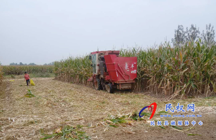 林七乡:让秸秆有了“用武之地” 林七乡:让秸秆有了“用武之地”