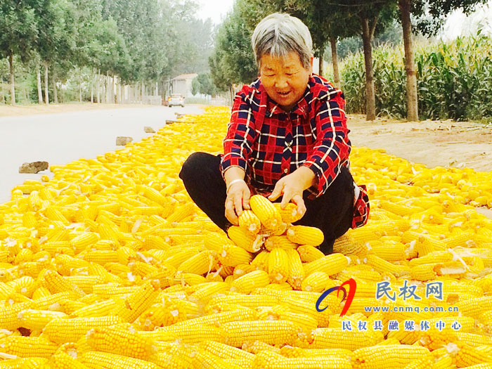 褚庙乡精心组织推进三秋生产 褚庙乡精心组织推进三秋生产