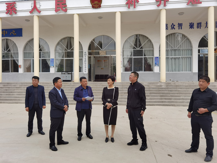 县人大常委会主任周燕到花园乡调研“创文”工作 县人大常委会主任周燕到花园乡调研“创文”工作