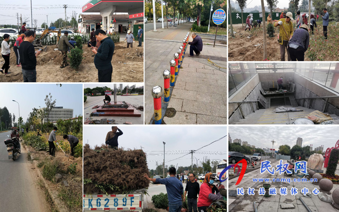 县园林绿化中心创建国家文明城市(提名城市)工作成效斐然 县园林绿化中心创建国家文明城市(提名城市)工作成效斐然