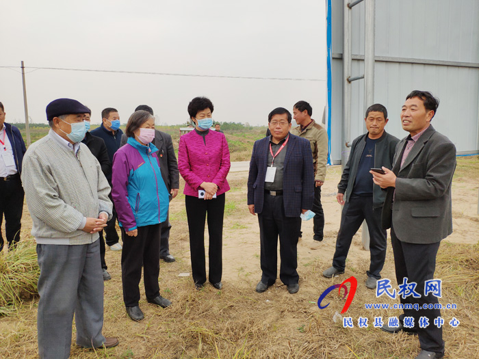 石秀诗到我县调研特色经济作物种植 石秀诗到我县调研特色经济作物种植