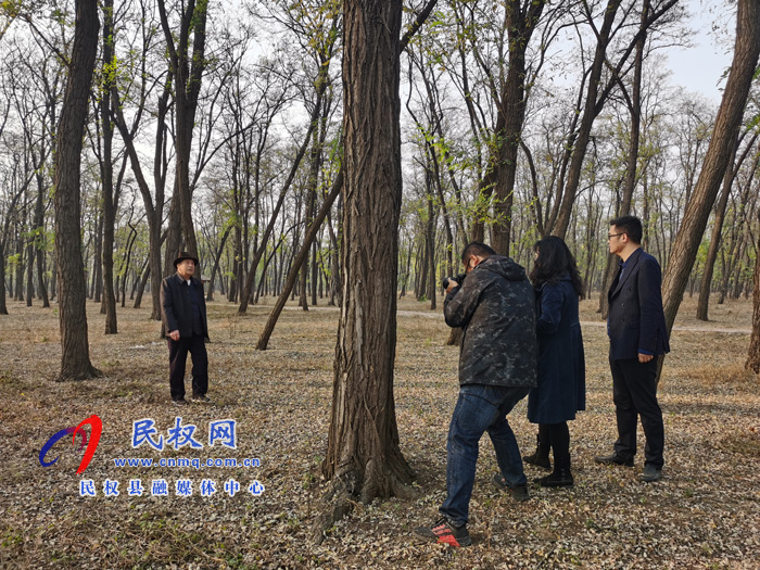 新华社河南分社社长王丁一行莅临我县开展采风活动 新华社河南分社社长王丁一行莅临我县开展采风活动